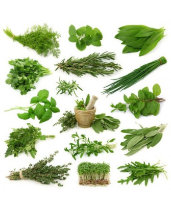 Mézclum de Hierbas Perenne para Ensalada