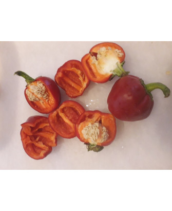 Pimiento de nyora