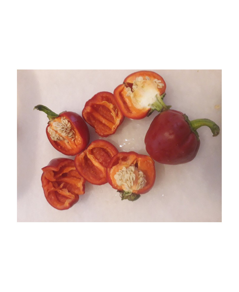 Pimiento de nyora