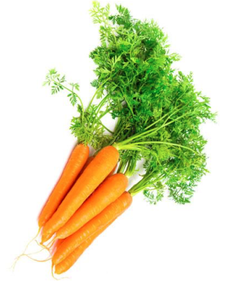 Zanahoria naranja Nantesa