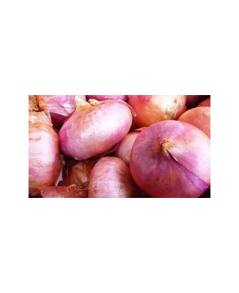 Cebolla de Viladesens
