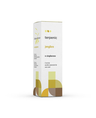 JENGIBRE AE, 5ML