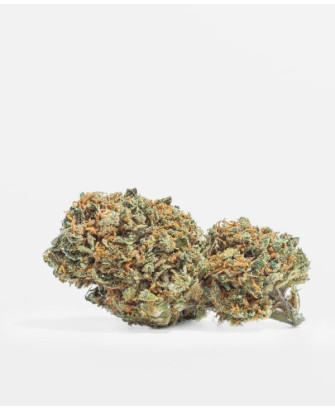 Flores Gelato CBD, 2 g