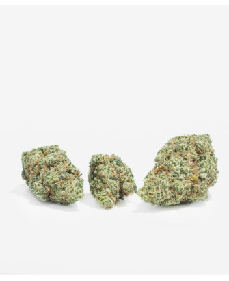 Flores Lemon Tree CBD, 2 g