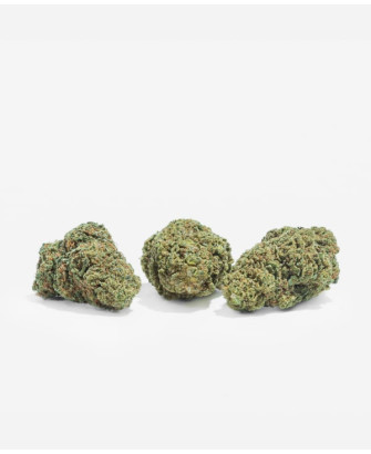 Flores Orange Cookies CBD, 2 g