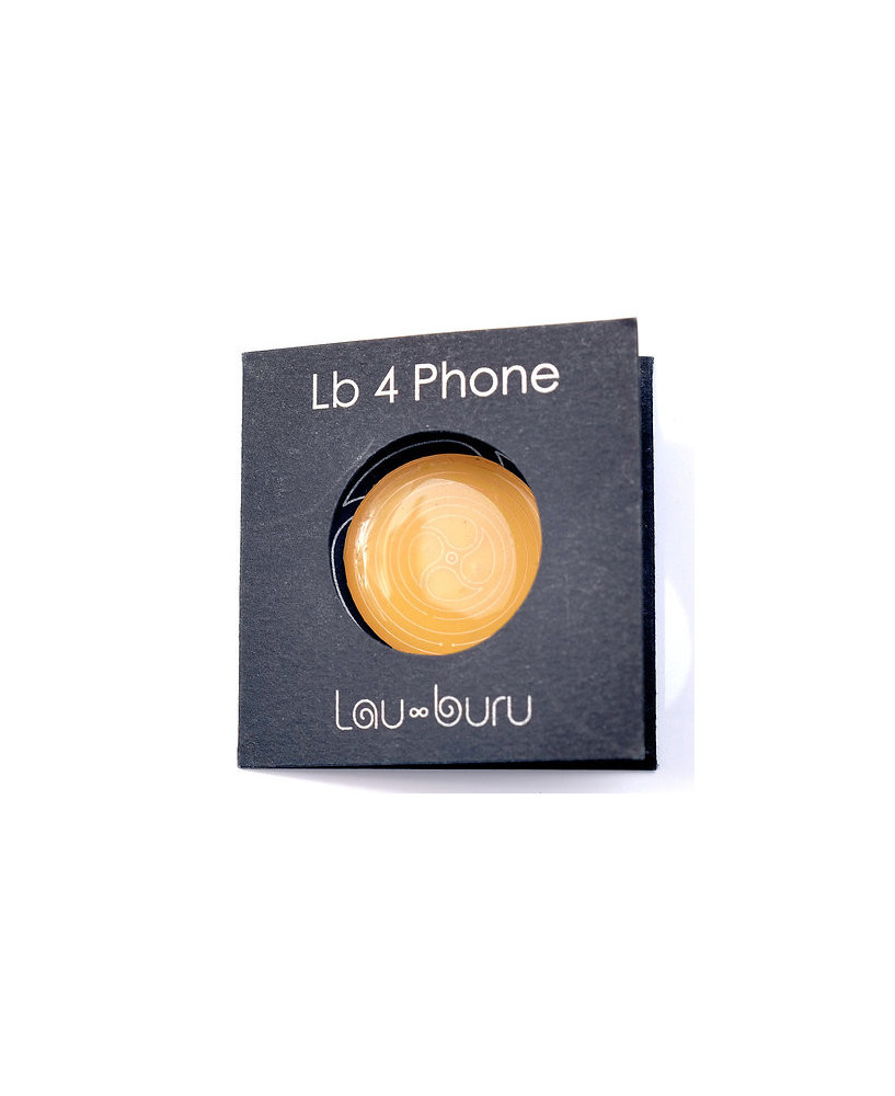 LB 4 Phone