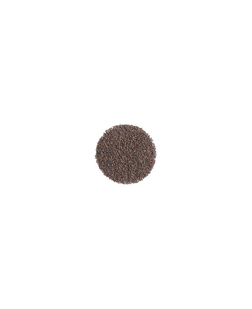 Germinado de Achicoria, 500 g