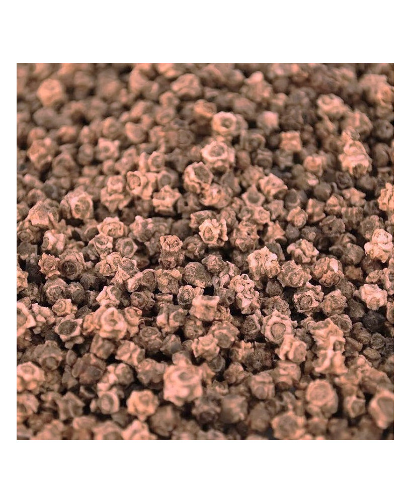 Germinado de Acelga Suiza Roja ECO, 500 g