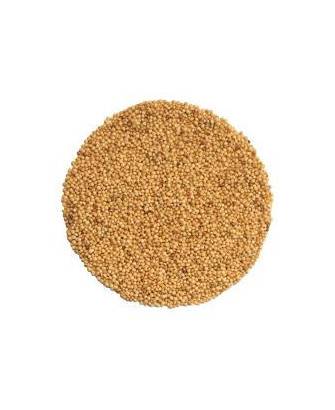 Germinado de Amaranto Rojo, 100 g
