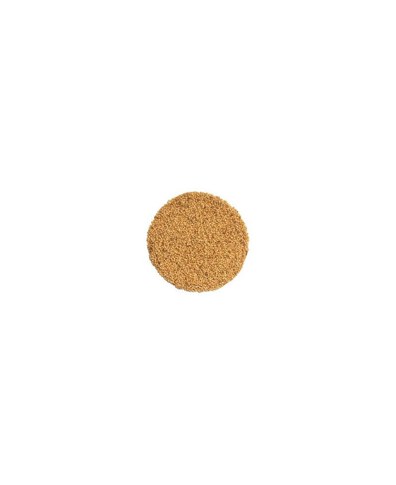 Germinado de Amaranto Rojo, 50 g