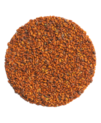 Germinado de Berro Jardín, 500 g
