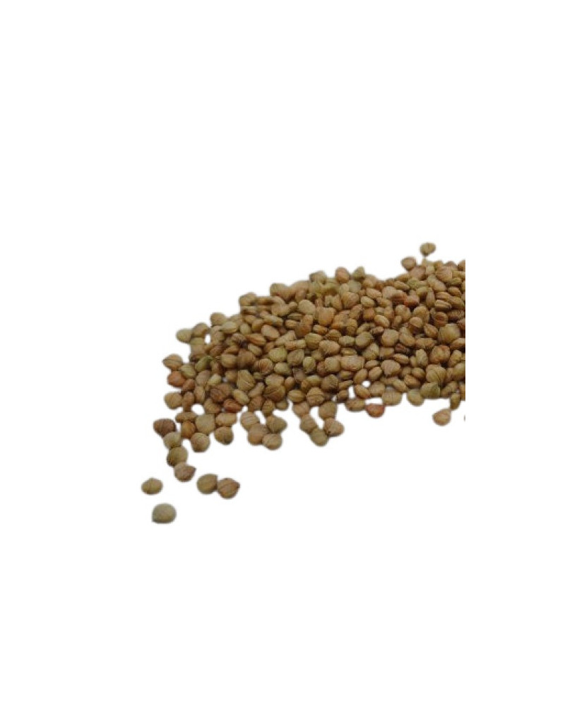 Germinado de Canónigo, 100 g
