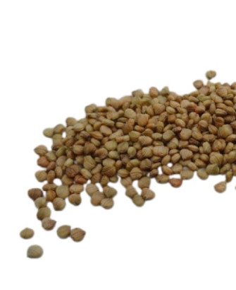 Germinado de Canónigo, 50 g