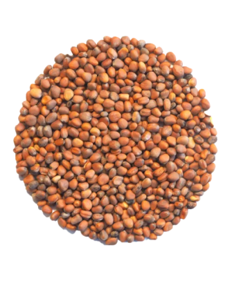 Germinado de Cebolla, 500 g