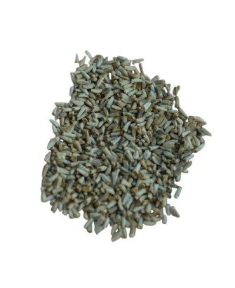 Germinado de Envidia Rizada Verde, 100 g