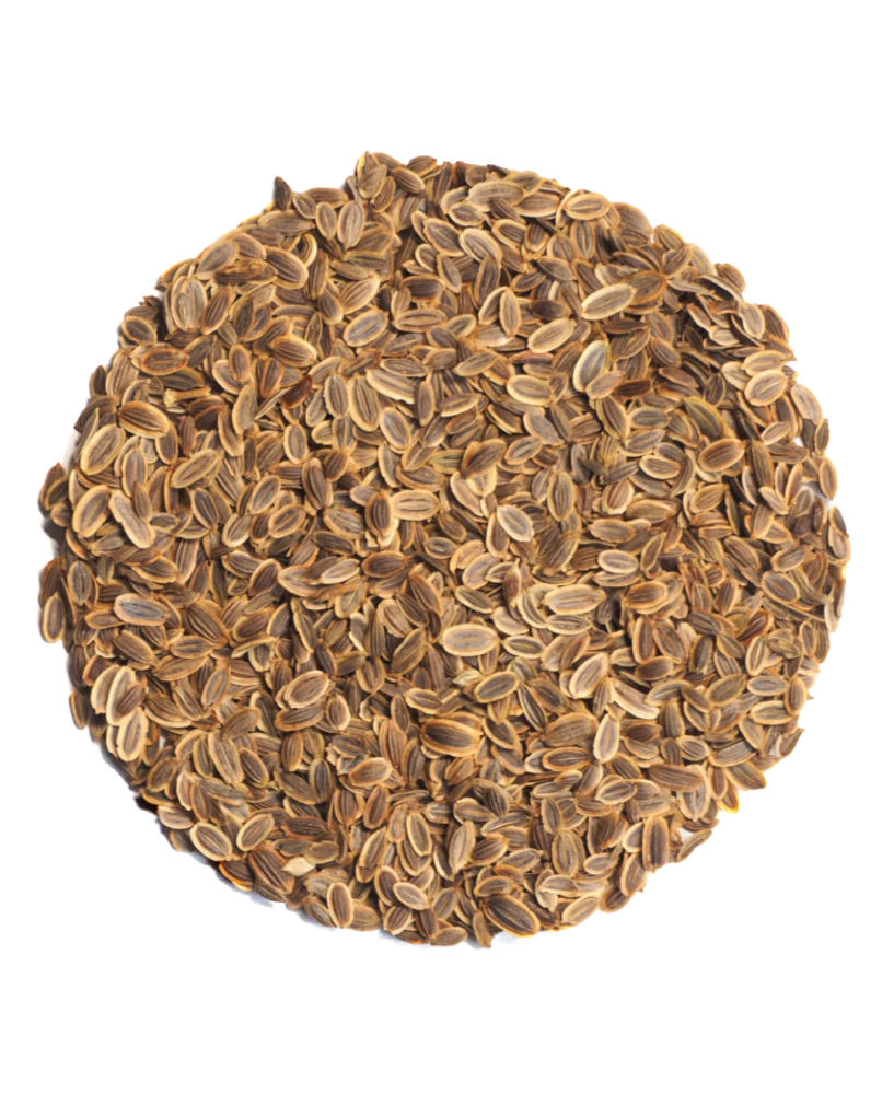 Germinado de Eneldo, 500 g