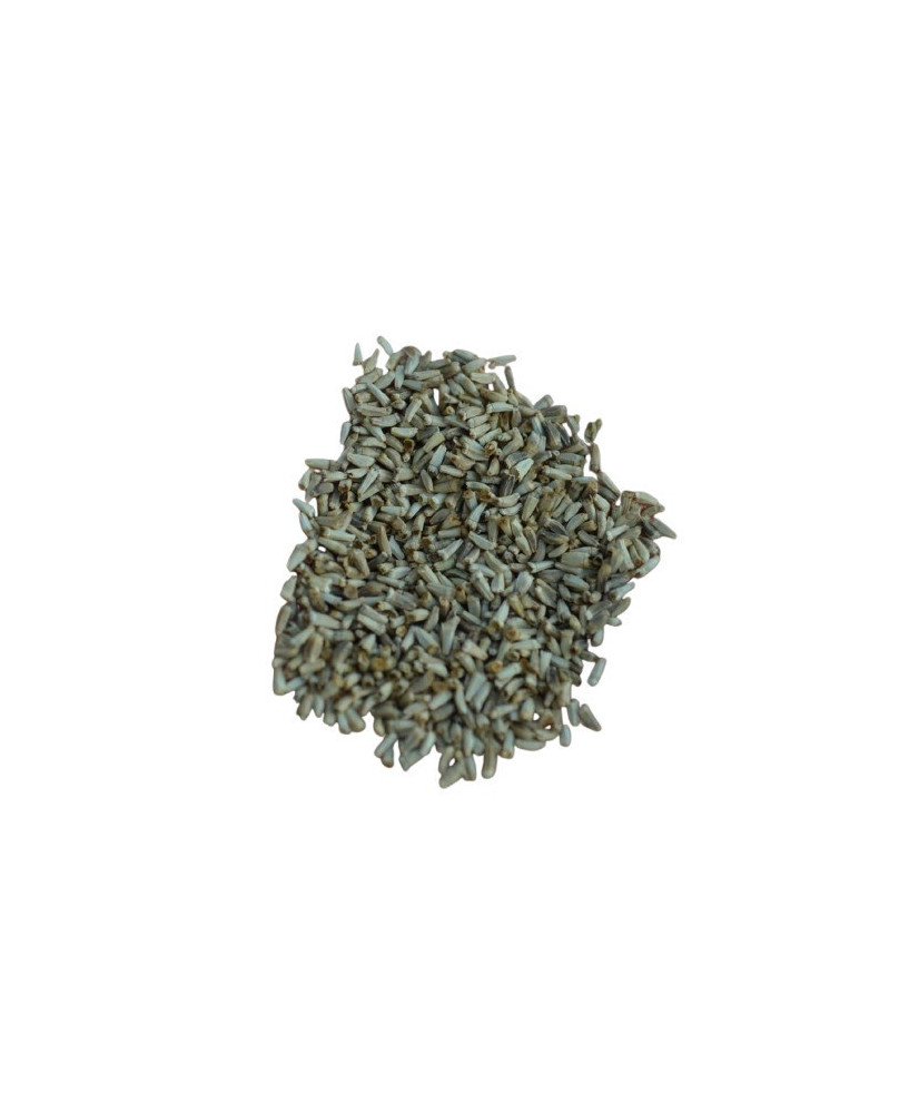 Germinado de Envidia Rizada Verde, 50 g