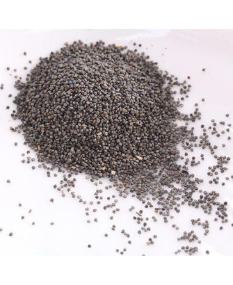 Germinado de Ficoide Glaciale, 10 g
