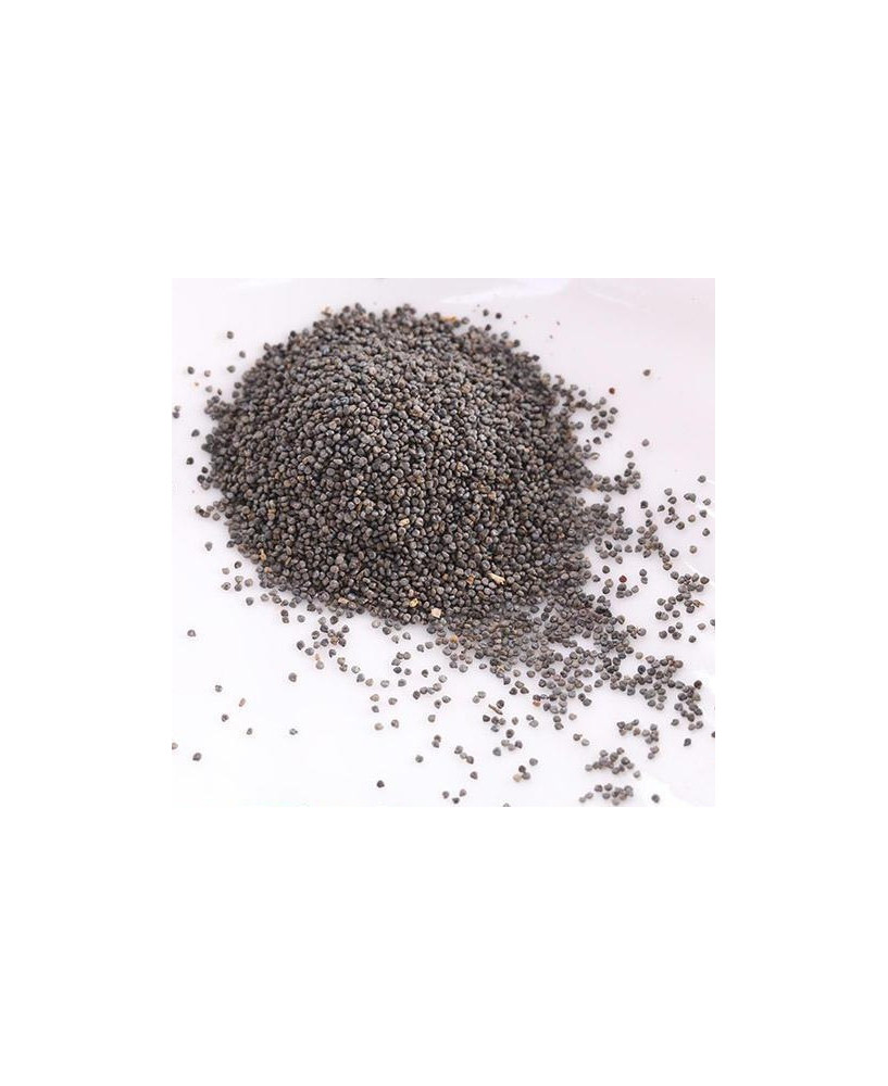 Germinado de Ficoide Glaciale, 10 g