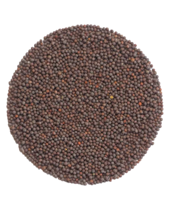 Germinado de Garbanzo, 1 Kg