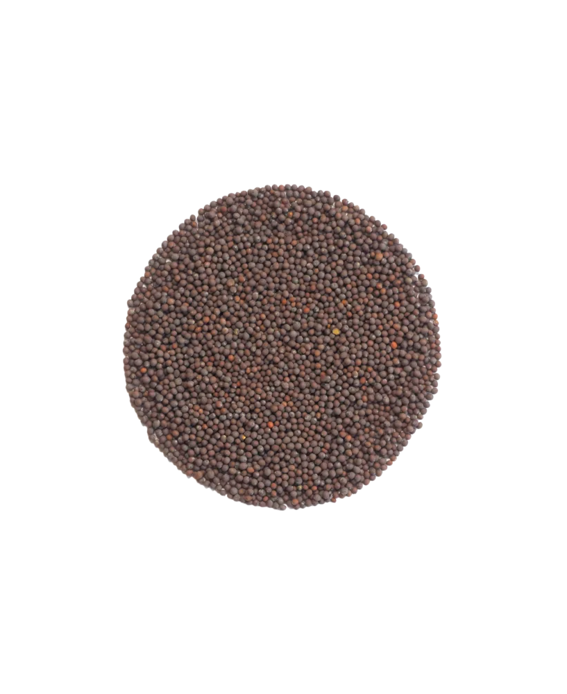 Germinado de Garbanzo, 1 Kg