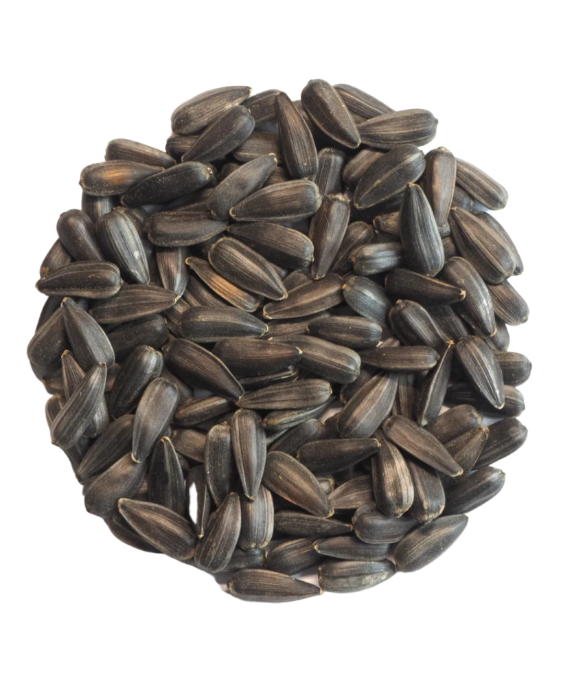 Germinado de Girasol, 500 g