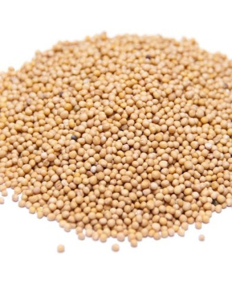 Germinado de Moztaza Blanca, 500 g