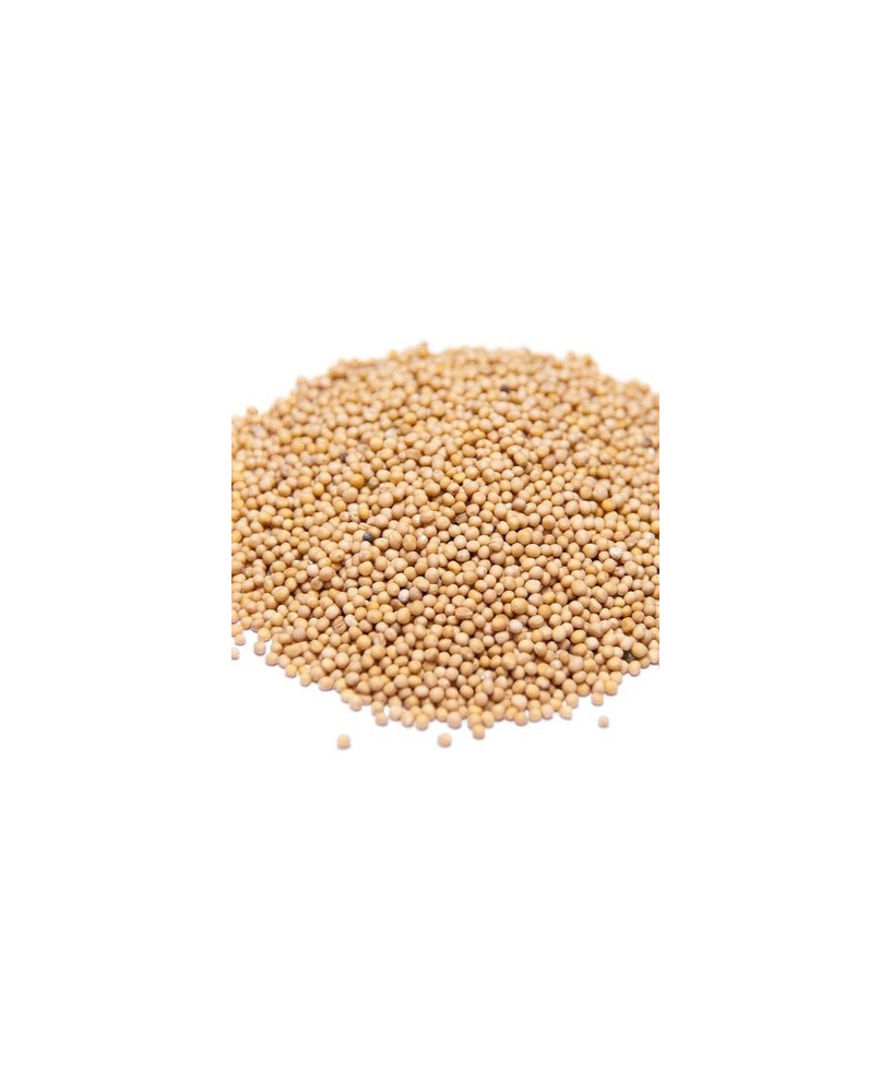 Germinado de Moztaza Blanca, 500 g