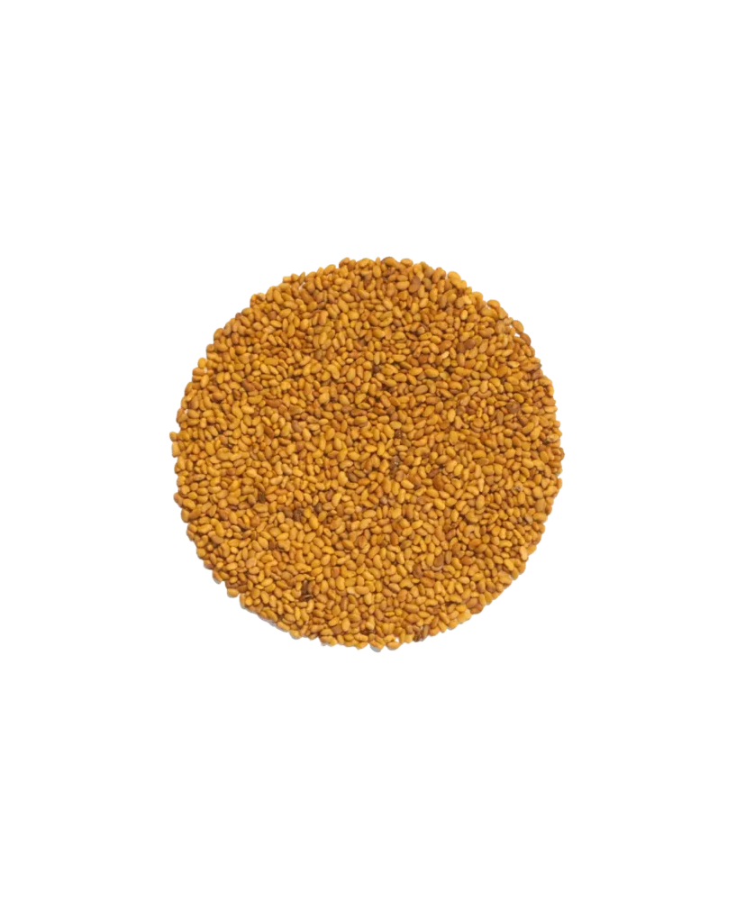 Germinado de Moztaza Roja ECO, 500 g