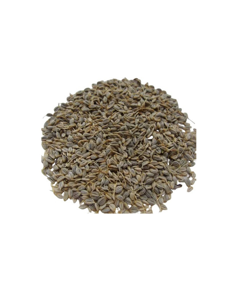 Germinado de Perejil ECO, 500 g