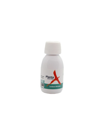 Planta de la vida, 100 ml