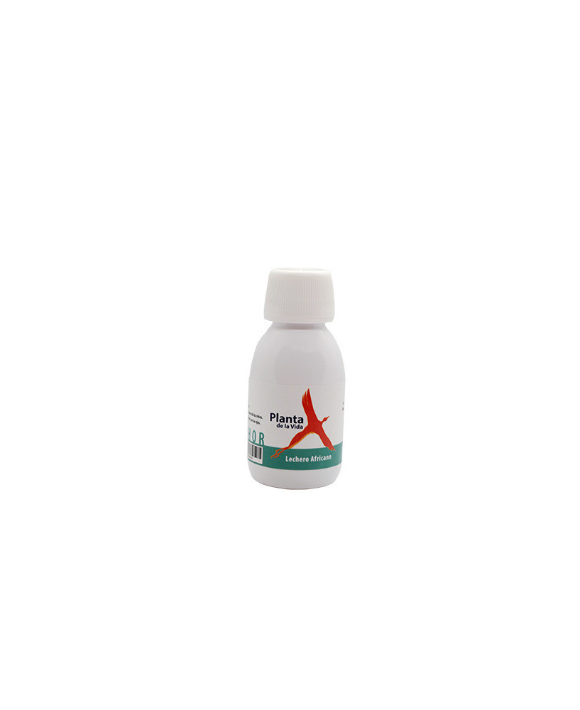 Planta de la vida, 100 ml