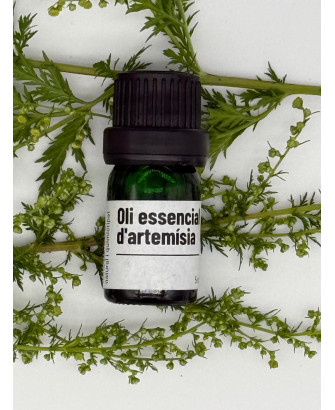 Oli essencial de Artemísia - 5 ml