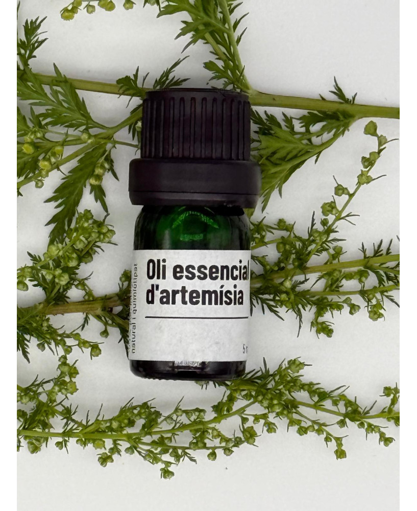 Oli essencial de Artemísia - 5 ml