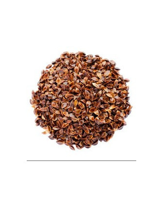 Germinado de Acedera Menor, 100 g