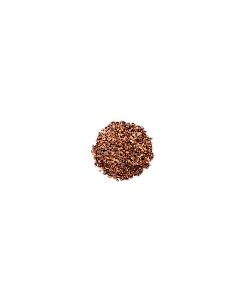 Germinado de Acedera Menor, 50 g