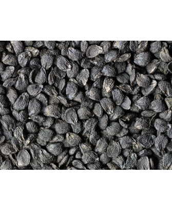 Germinado de Ajo, 1 kg