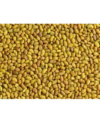 Germinado de Alfalfa, 1 kg