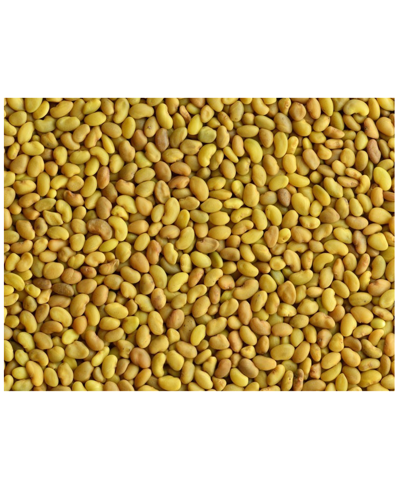 Germinado de Alfalfa, 1 kg