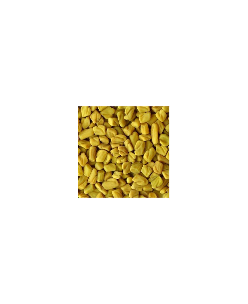 Germinado de Fenogreco, 1 kg