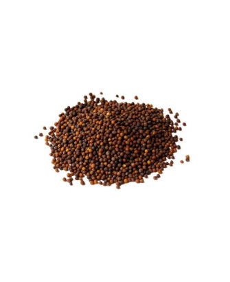 Germinado de Kale, 1 kg