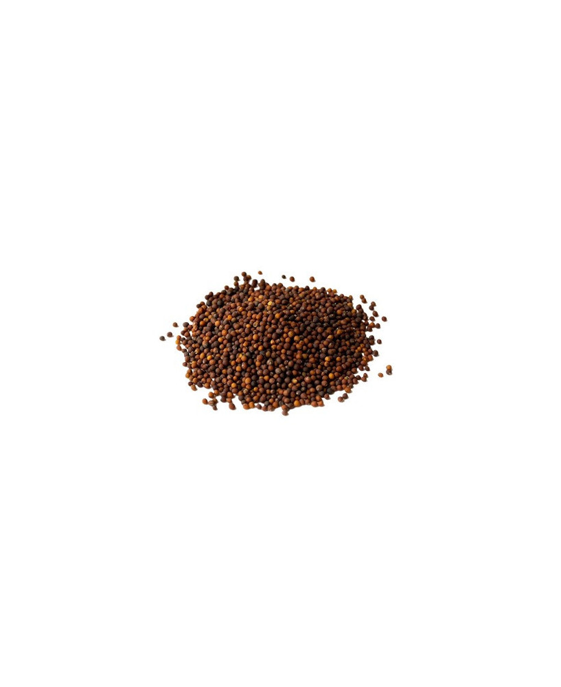 Germinado de Kale, 1 kg