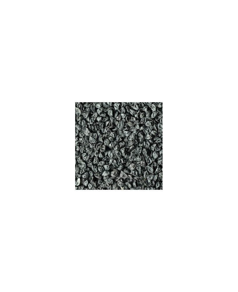 Germinado de Puerro, 1 kg