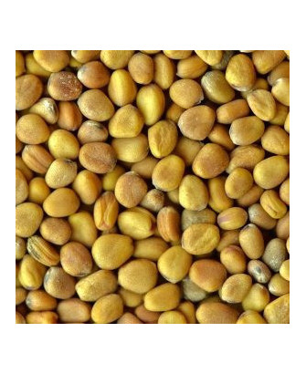 Germinado de Rabanito, 1 kg