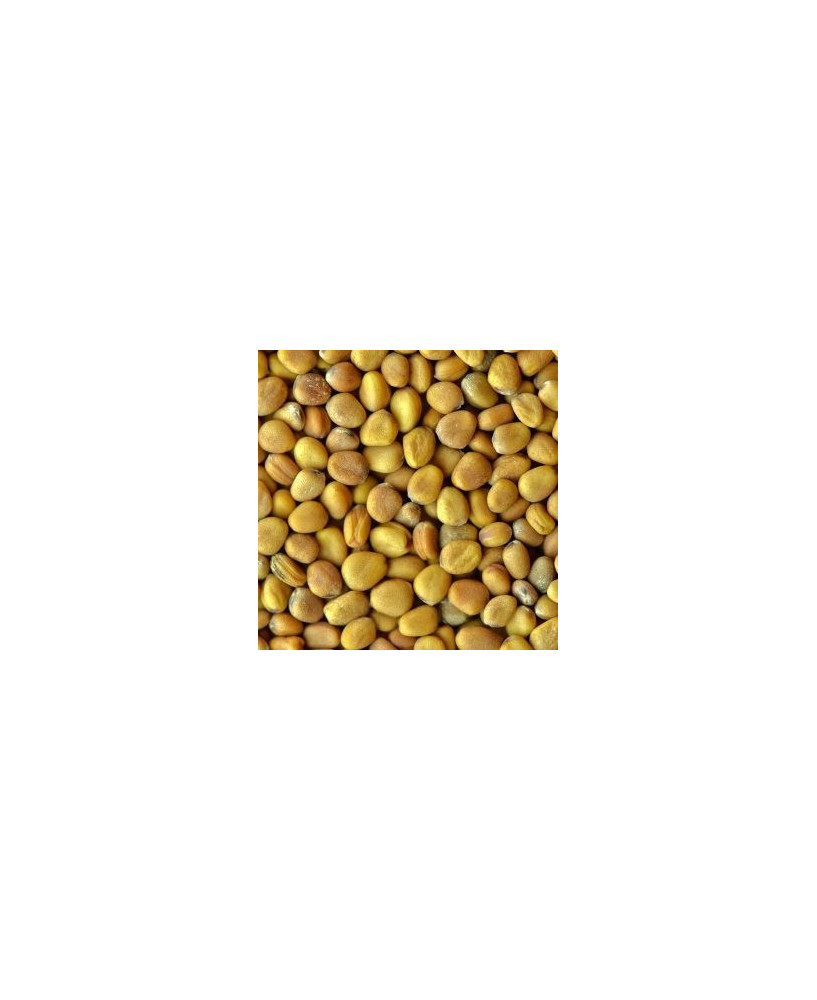 Germinado de Rabanito, 1 kg