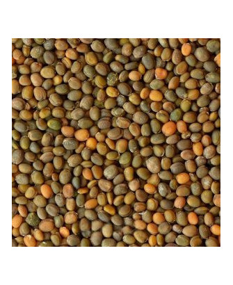 Germinado de Rúcula, 1 kg