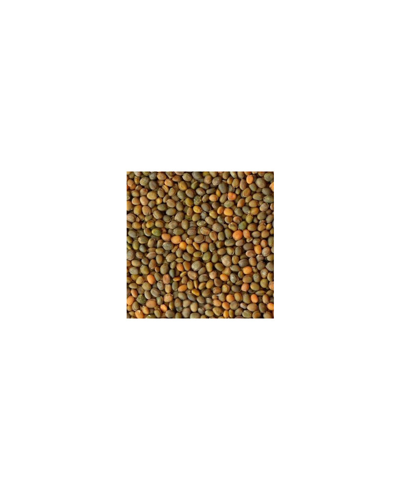 Germinado de Rúcula, 1 kg