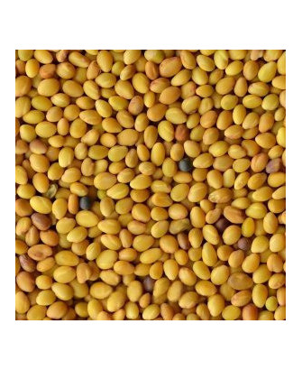 Germinado de Trebol Rojo, 1 kg