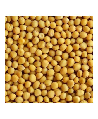 Germinado de Mostaza Blanca, 1 kg
