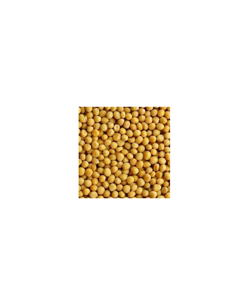 Germinado de Mostaza Blanca, 1 kg